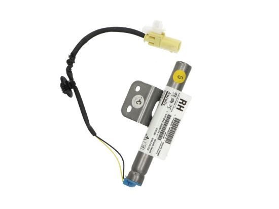 KAPUT AKSİYONERİ DS4 (D41) PSA