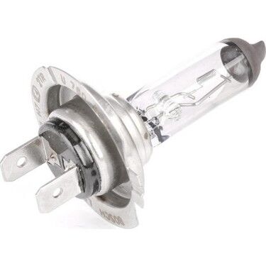 AMPUL ECO 12V H7 55W PX26d
