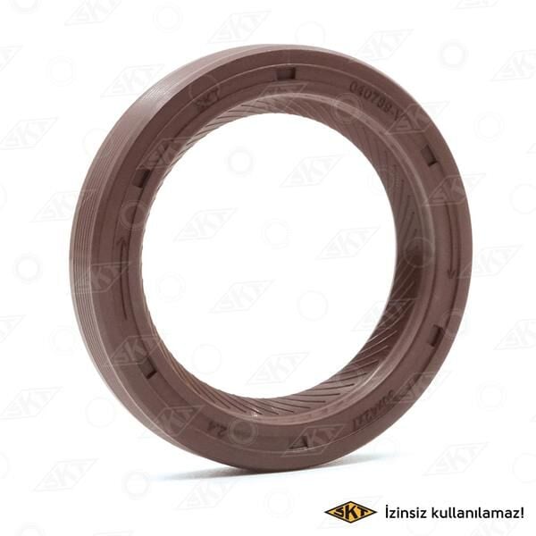 ÖN TEKER KEÇESİ DZL FLASH R9/R11 27.95x70x10 7703087148