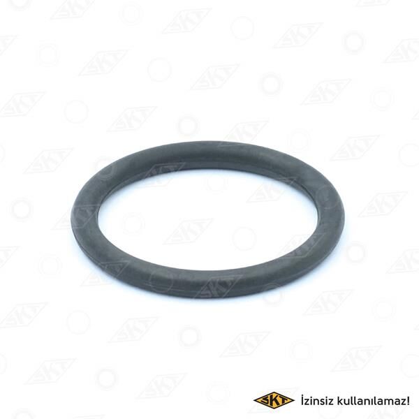 ŞANZ. KLM ÇIKIŞ MİLİ KEÇESİ RENAULT 12 TOROS 855779500