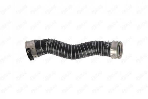 HAVA FİLTRE HORTUMU DACIA DOKKER MPV KE 1.6 LPG 18 165780388R
