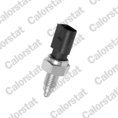 TERMOSTAT KOMPLE KNG-CLIO II-LOGAN 1.5 DCI V7022 8200954288-8200558758-1106100Q0D