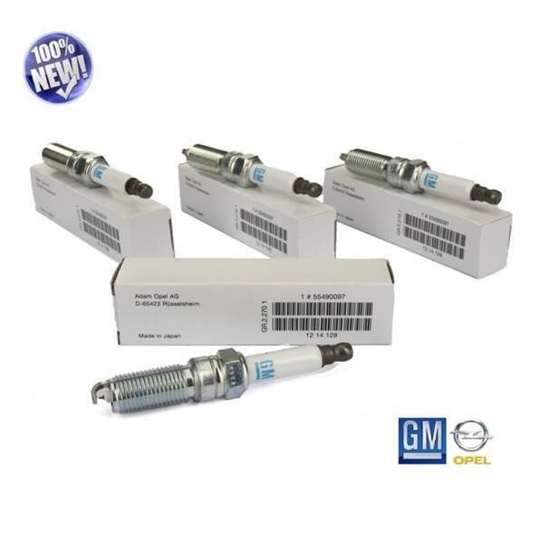 BUJİ KAMPANYA İNSİGNİA