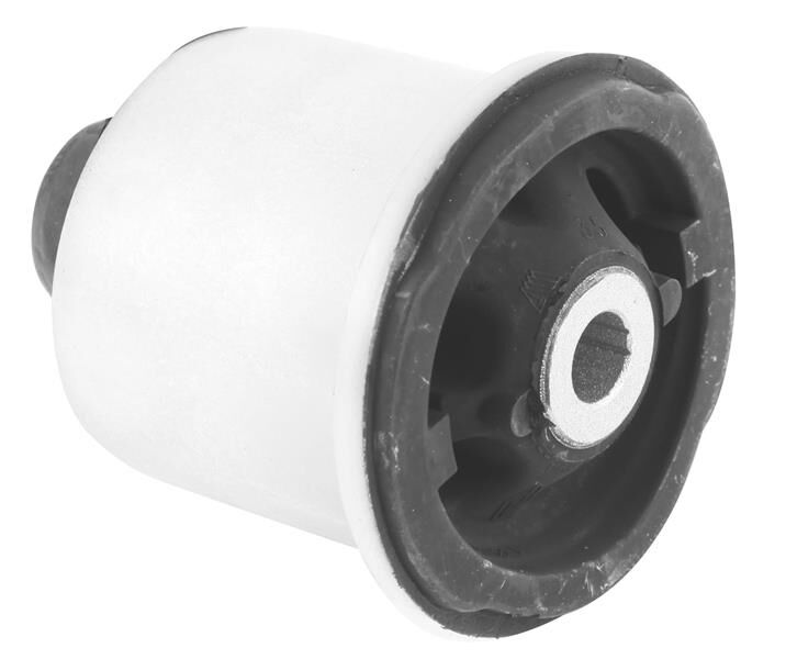 TORSİYON BURCU CLIO IV-CAPTUR 550452379R