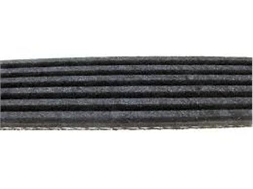 KANALLI KAYIŞ P208-P308-P508-P3008-P5008-EXPERT-JUMPY-C4-C5-DS3-DS5 1.6 THP BOXER-JUMPER-DUCATO 2.5 SOLENZA-SCUDO-ASTRA F-CORSA B-CLIO I-II-KNG-CORDOBA  V760401480-128035-93182243