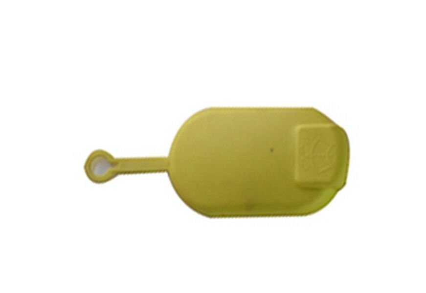 ARKA BAGAJ YAZISI LAGUNA LAGUNA