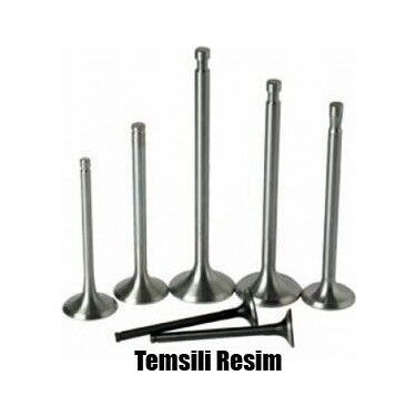 YAG POMPASI R9 R11 R19 CLIO TWINGO 1.4