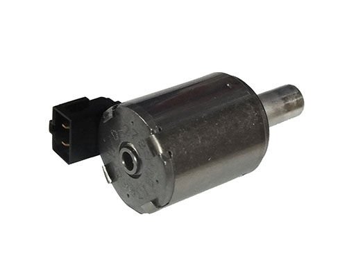 OTOMATIK SANZIMAN VALFI R.CLIO II-CLIO I- KANGOO-LAGUNA-MEGANEP206 P307-P406 P40 1998-  2574167701208170