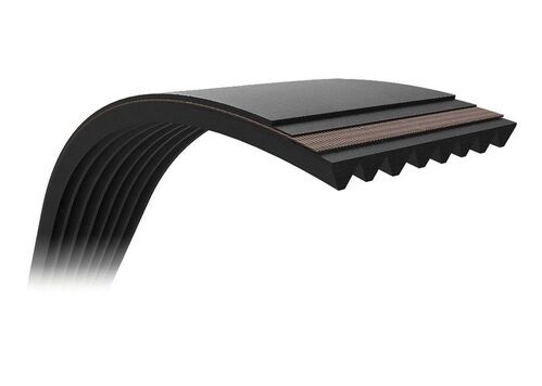 KANALLI KAYIŞ MOVANO-VIVARO-MASTER-LGN-TRAFIC