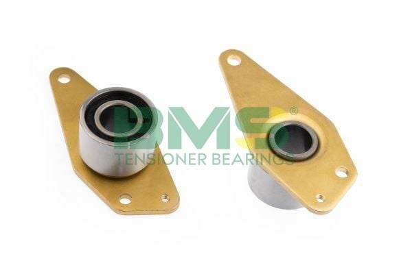 EKSANTRİK GERGİ RULMANI BÜYÜK CLIO 1.7-1.8- LAGUNA 1.8-2.0- MEGANE 1.9D-2.0i-TRAFIC 1.7-1.9D- R9-R11-R19