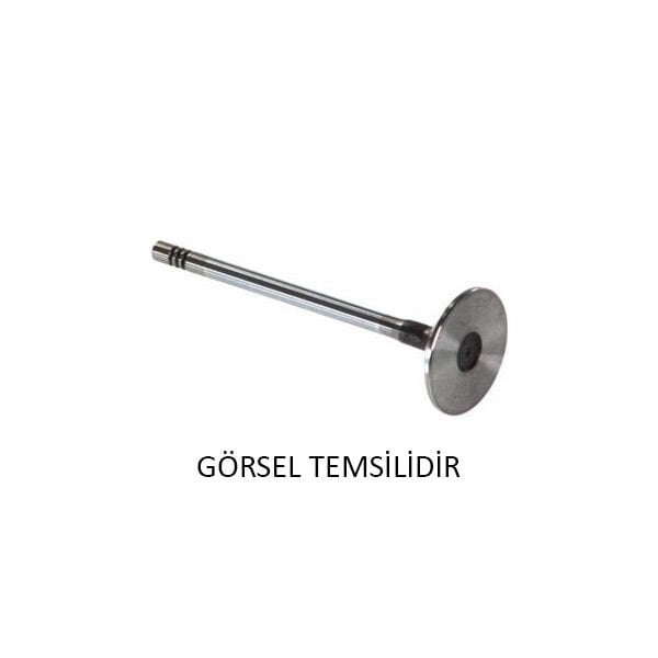SUBAP GAYDI RENAULT LAGUNA II 05 07 2.2dCi MASTER 01 TRAFIC II 06 2.5dCi 16V  8200562080