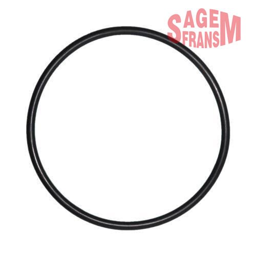 ŞAMANDIRA KAPAK ORİNG MEGANE - LAGUNA - DOBLO