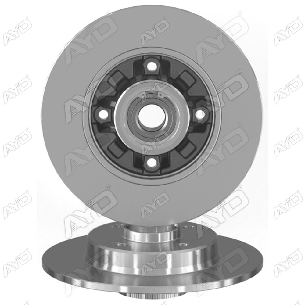 FREN DISKI (TEK) ARKA RULMANLI 249MM C4 P308 I 07-14 DS4 11>