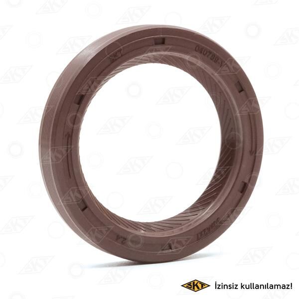 ÖN TEKER KEÇESİ DZL FLASH R9/R11 27.95x70x10  7703087148