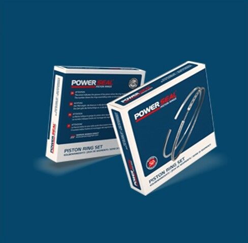 MOTOR SEGMANI PEUGEOT-FORD 1.4 HDI DW4 73.70 mm 0.50