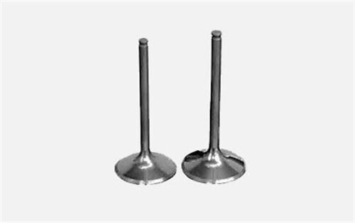 SUBAP EMME EGZOZ MASTER-MOVANO 2.5DCI-LGN 2.2 G9U 16V IN-8/EX-8  7701472669-7701472670-4506083