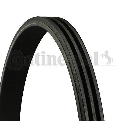KANALLI V KAYIŞI RENAULT CLIO II 98 CLIO III 05 CLIO SYMBOL 02 KANGOO 97 SYMBOL III 13 TWINGO 96 1.2 D4F 3PK740  8200830182-8200065601