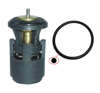 TERMOSTAT BORA-CADDY II-III-GOLF III-IV-V-POLO-CORDOBA-IBIZA-FABIA-OCTAVIA-LEON-TOLEDO 1.6 AEE-ALM-AFT (87c)