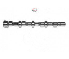 EKSANTRİK MİLİ EMME DUCATO-MASTER 2.3 JTD