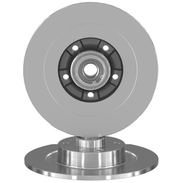 ARKA FREN AYNASI RENAULT LAGUNA III 07>15 LATITUDE 11> 300x11x9.5x5DELİK RULMANLI ABS SENSÖRLÜ  402020003R-402022291R-432027112R