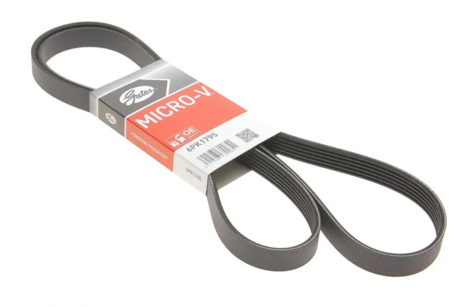 KANALLI KAYIŞ MOVANO-VIVARO-MASTER-LGN-TRAFIC