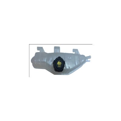 GENLEŞME KAVONOZU KAPAKLI FİLTRELİ CLIO III  7701477290