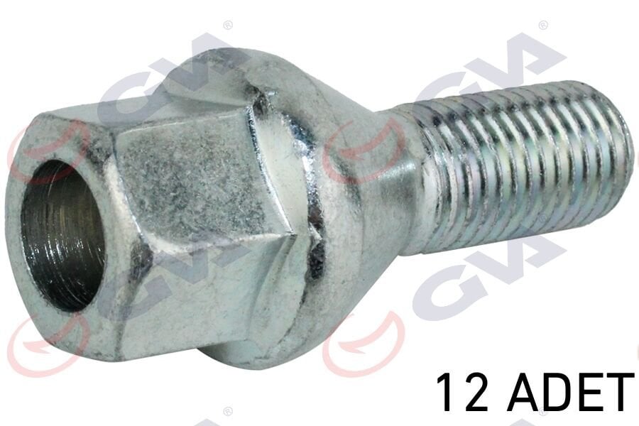 BİJON CİVATASI RENAULT MEGANE-CLIO Y.M. DACIA DUSTER-LOGAN DELİKLİ TİP PAKET 12