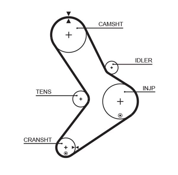TRİGER KAYIŞI 152x300 MOVANO-MASTR 2.5D 152 DİŞ GD152H95P300 CT1038