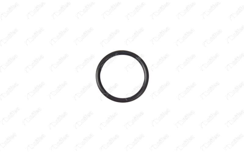 EMME MANİFOLD CONTASI CITROEN/BERLINGO FIRST PANELVAN/VAN 1.9 D 70 4WD MBWJZ. MCWJZ 98-07  0365.34