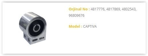 SALINCAK BURCU ANTARA CAPTIVA