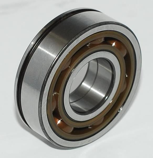 ARKA ŞANZ. KAPAK RULMAN R9-R11-R19-CLIO-KNG AB40587S01 AB41386