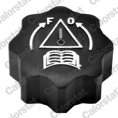 GENLEŞME KAVANOZ KAPAĞI ASTRA L 21> COMBO E 19> GRANDLAND 17> ZAFIRA LIFE 19> VIVARO C 19>C2- 206-106 306-207-JUMPY III-C2-C3-C4-C5-BERLINGO-PARTNER- C-ELYSEE-301-508-5008-308-2008-1007-3008  1306.J5-1306.E4-1306.C9-1606.E4